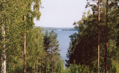 Hoviselk, Niukkala